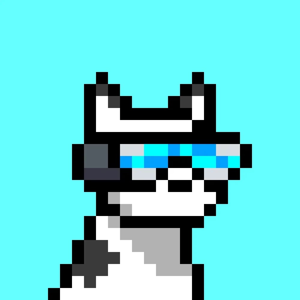 Official JawaMeta cyan-background pixel dog profile picture of Jawa (@JawaMeta), white and black dog with a cyan visor